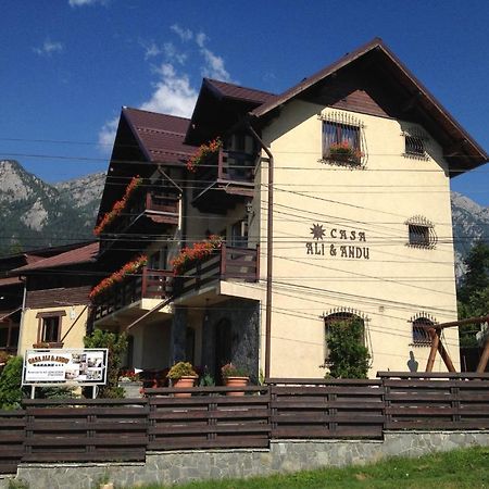 Pension Casa Ali & Andu Buşteni Extérieur photo