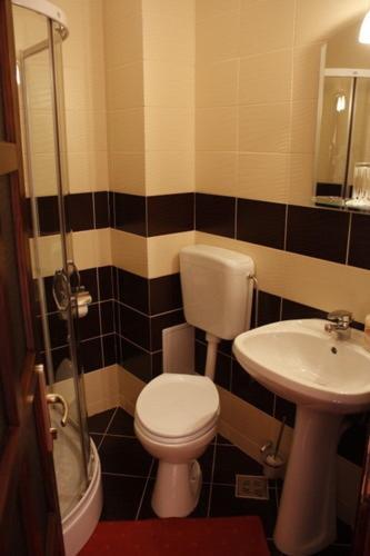 Pension Casa Ali & Andu Buşteni Extérieur photo