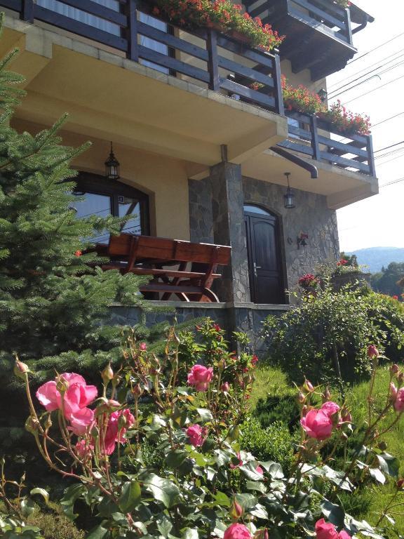 Pension Casa Ali & Andu Buşteni Extérieur photo