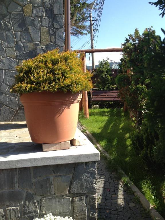 Pension Casa Ali & Andu Buşteni Extérieur photo