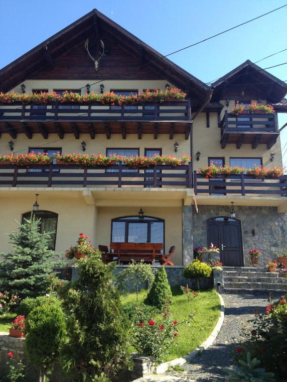 Pension Casa Ali & Andu Buşteni Extérieur photo