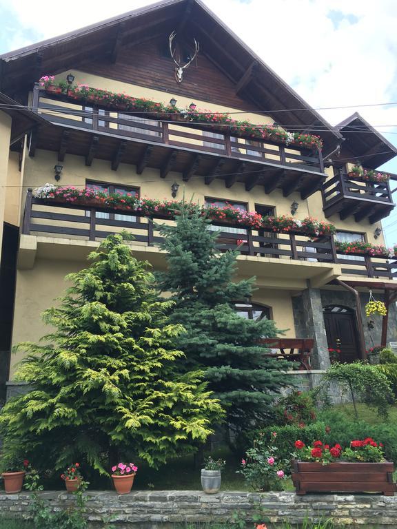 Pension Casa Ali & Andu Buşteni Extérieur photo